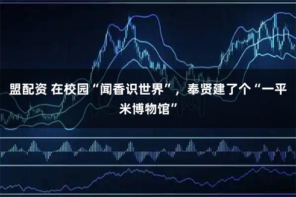 盟配资 在校园“闻香识世界”,奉贤建了个“一平米博物馆”