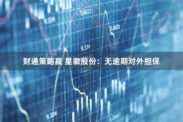 财通策略赢 星徽股份：无逾期对外担保