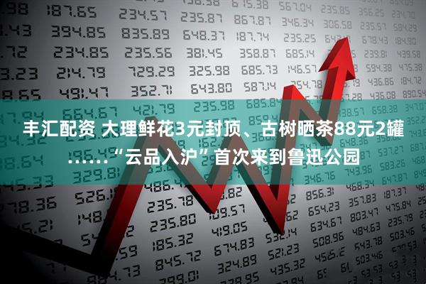 丰汇配资 大理鲜花3元封顶、古树晒茶88元2罐……“云品入沪”首次来到鲁迅公园