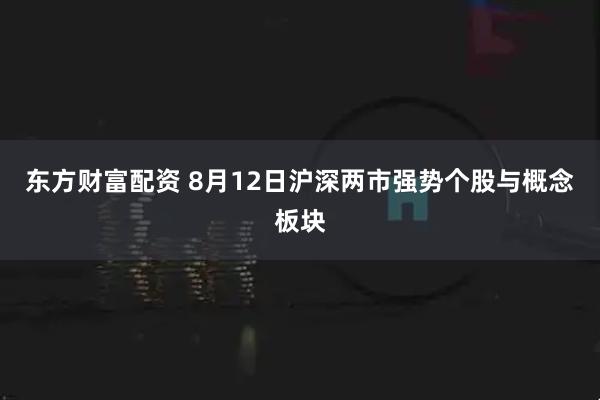 东方财富配资 8月12日沪深两市强势个股与概念板块